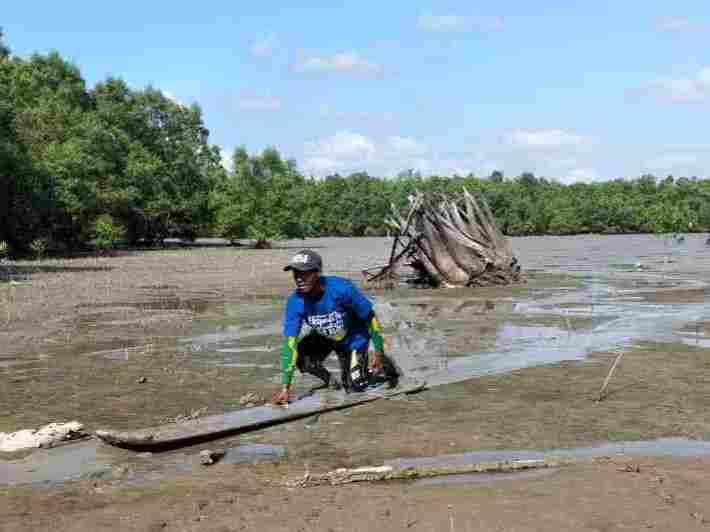 Pertahankan Budaya Menongkah, Masyarakat Duanu di Inhil Sudah Maju dan Berkembang